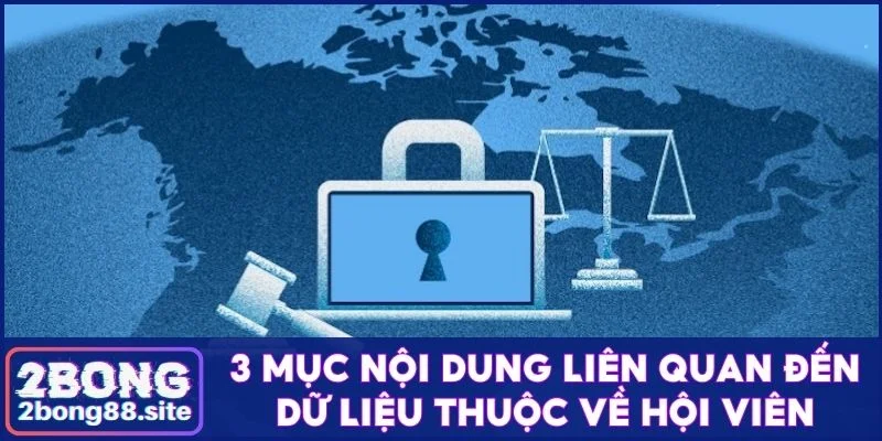 3 mục nội dung liên quan đến dữ liệu thuộc về hội viên