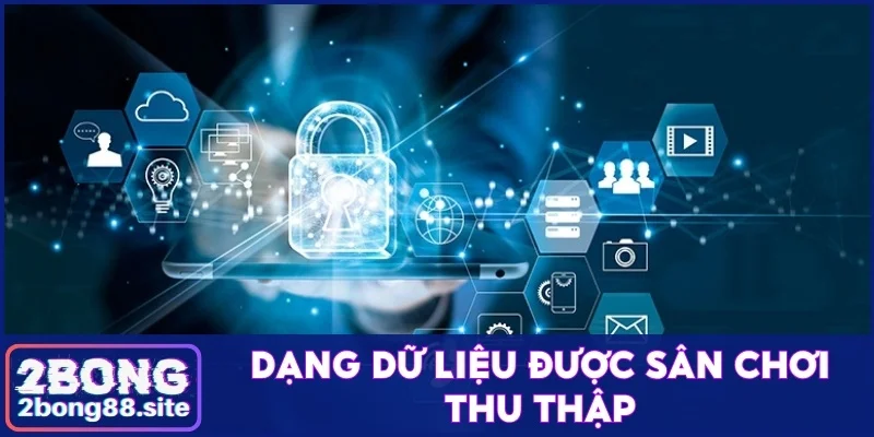 Dạng dữ liệu được sân chơi thu thập