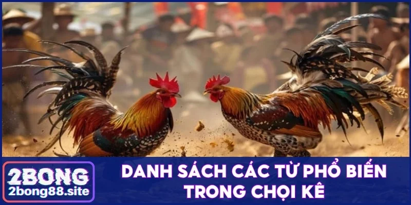 Danh sách các từ phổ biến trong chọi kê