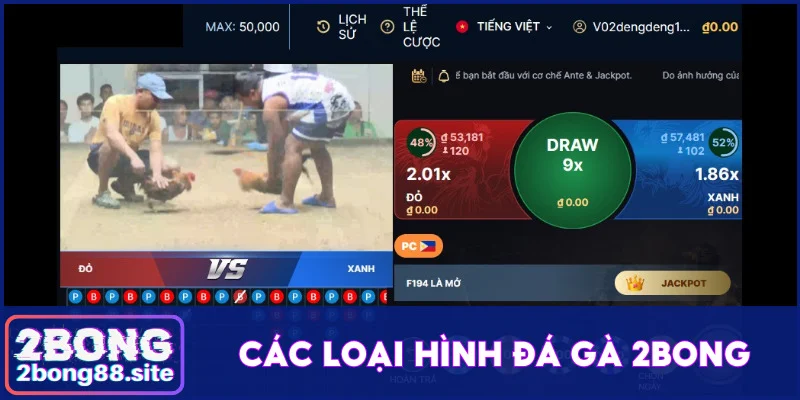 Giới thiệu các loại hình đá gà 2Bong