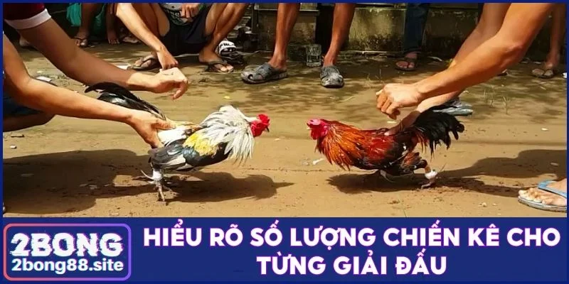 Hiểu rõ số lượng chiến kê cho từng giải đấu