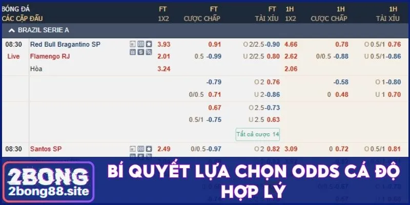 Kinh nghiệm chọn odds phù hợp để cá cược