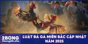 Luật đá gà miền Bắc