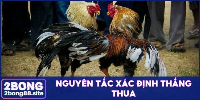 Nguyên tắc xác định thắng thua
