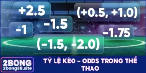 tỷ lệ kèo