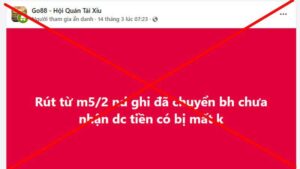 Bất ngờ: Khi nạn nhân web giả vô tình tấn công Go88 thật